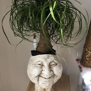 Meet your Posher, Naia